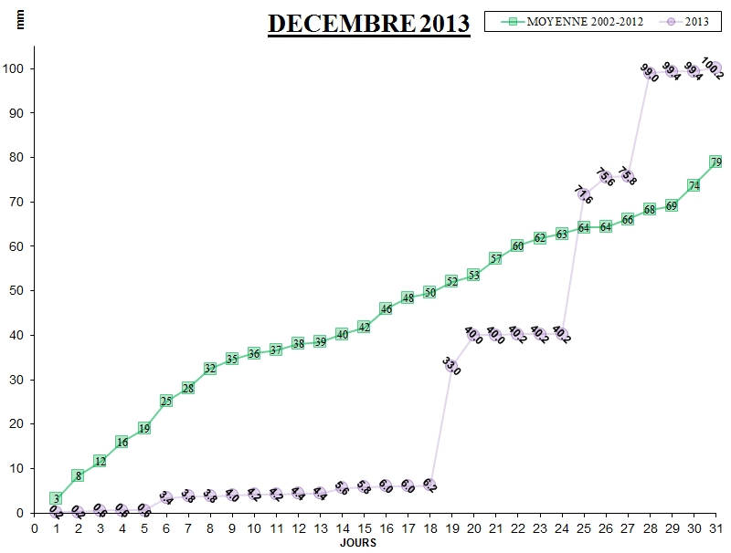 GRAPH PLUIE 12-13.jpg